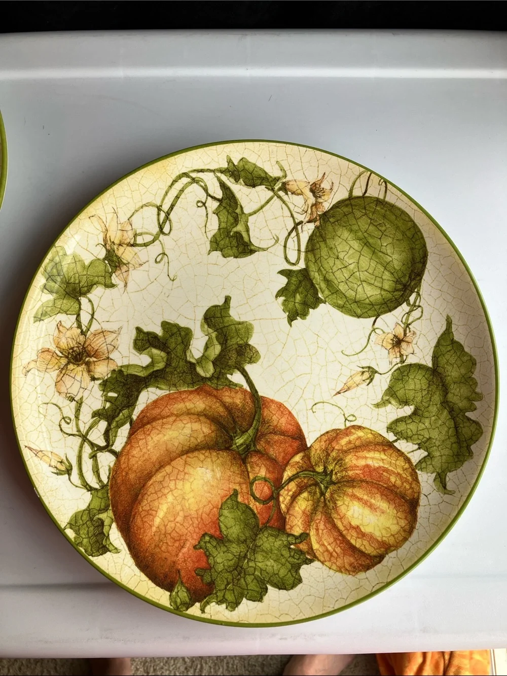 Pier 1 Harvest Garden 2 Dinner Plates 11